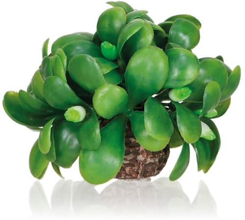 BiOrb Decobal maretak bal