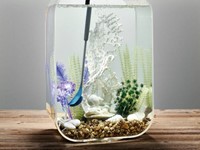 Biorb Multi Reiniger blauw 4