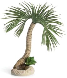 Biorb Palmboom Seychelles