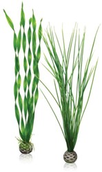 Biorb N-Plantenset L groen