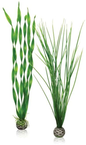 Biorb N-Plantenset L groen