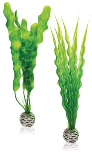Biorb N-Plantenset M groen