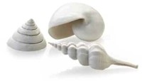 BiOrb schelp set 3 wit 