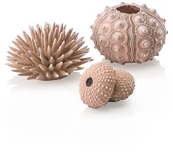 BiOrb zee-egel set naturel 