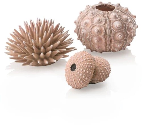 BiOrb zee-egel set naturel 