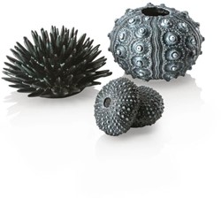 BiOrb zee-egel set zwart 