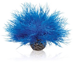 BiOrb Aquarium zeelelie blauw