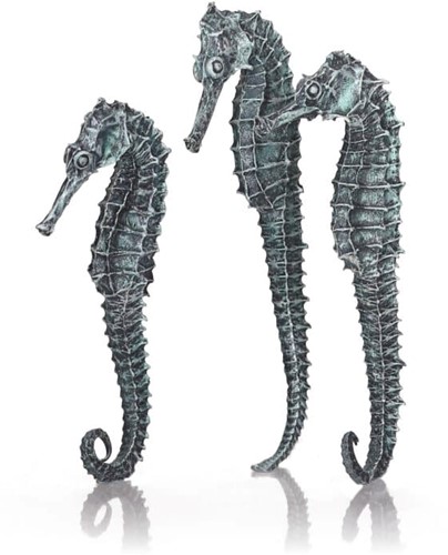 BiOrb zeepaard zwart set  