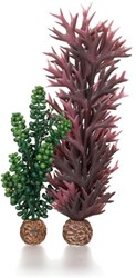 biOrb zeeparels & zeewier olijfgroen