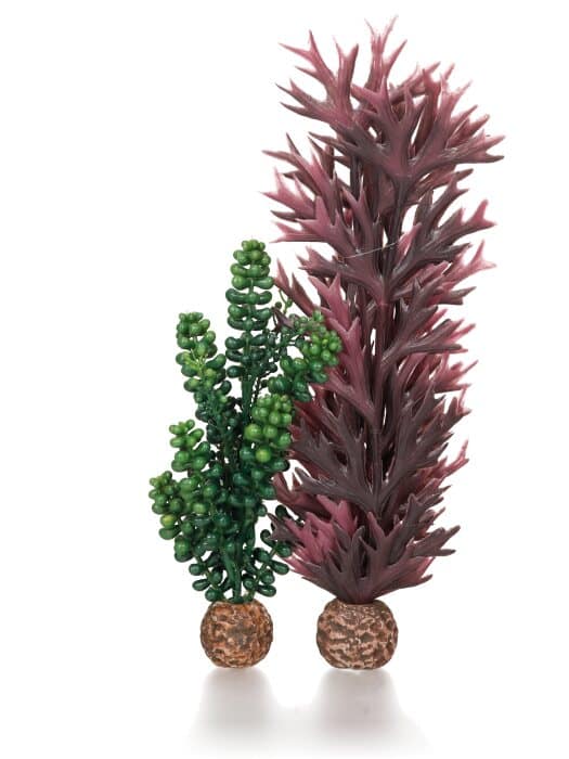biOrb zeeparels & zeewier olijfgroen