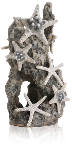 Biorb zeester rots ornament