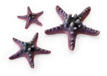 BiOrb zeesterren set roze