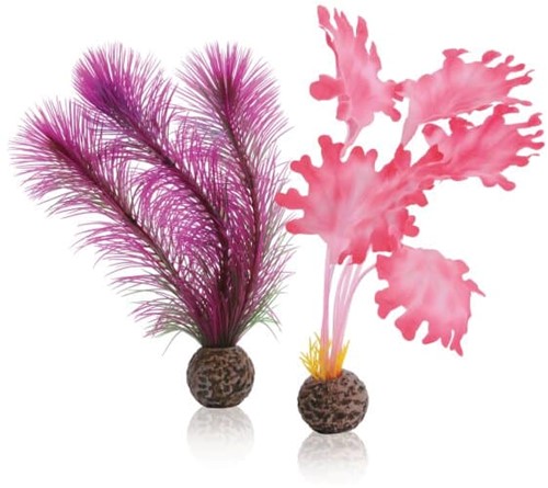 BiOrb Zeewier set S roze