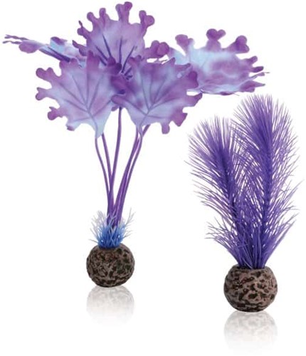 BiOrb Zeewier set S paars