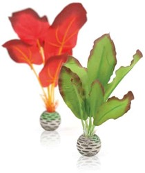 Biorb Zijden plantenset S - groen en rood