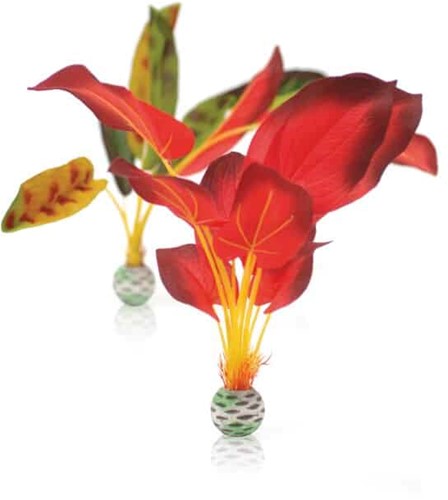 Biorb Plantenset L - groen en rood