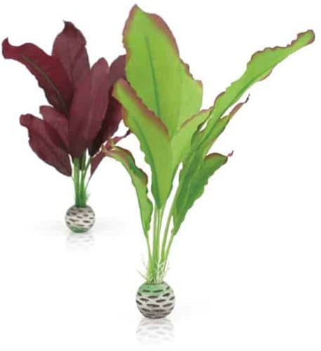 Biorb Plantenset M - groen en paars