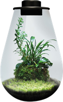 BioArt Drop 285 zwart