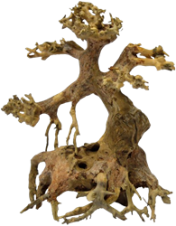 Superfish Bonsai Driftwood xs