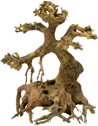 Superfish Bonsai Driftwood xs