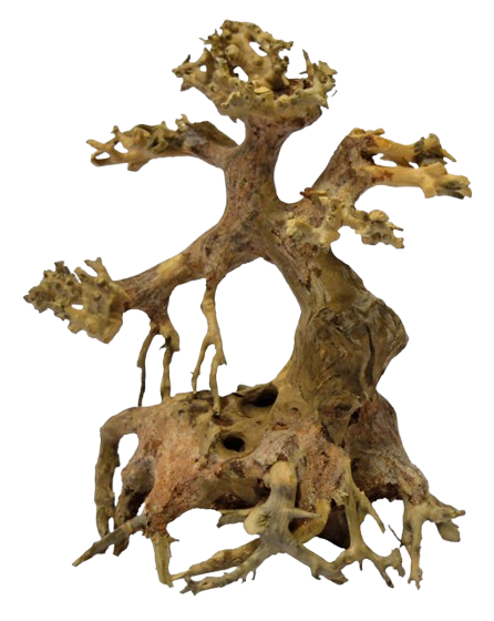 Superfish Bonsai Driftwood xs