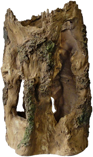 Superfish Forest Deco Wood boomhuis large