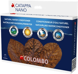 Colombo Catappa Nano