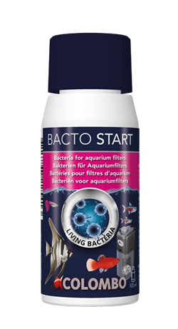 Colombo Bactostart 100 ml