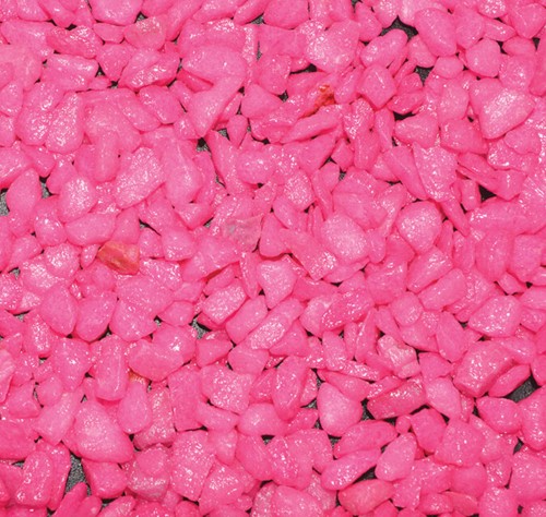 Superfish Deco Grind - Neon roze