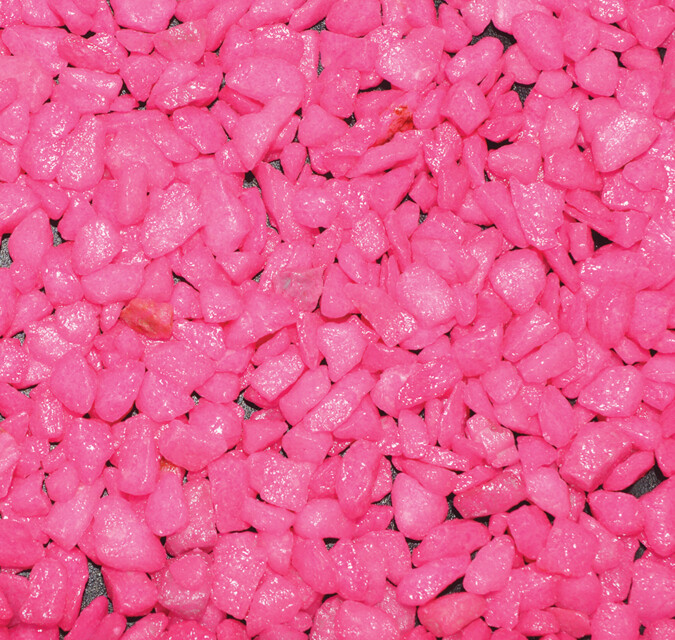 Superfish Deco Grind - Neon roze