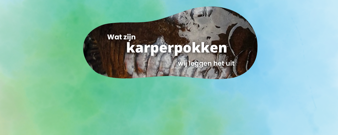 Wat zijn karperpokken? 