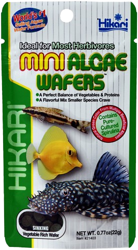 Hikari Mini Algae Wafers - 22 gram 
