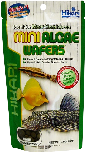 Hikari Mini Algae Wafers - 85 gram