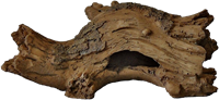 Superfish Forest Deco Wood Log hout small