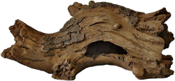 Superfish Forest Deco Wood Log hout small
