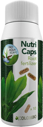 Colombo Flora Nutri Caps 10x