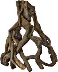 Superfish Forest Deco Wood Mangrove wortel large