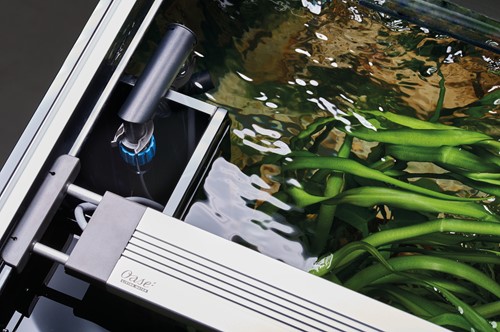 Oase HighLine aquarium 300 roomdivider zwart-3