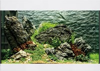 Oase StyleLine 125 aquarium wit-2