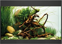 Oase StyleLine 125 aquarium zwart-2