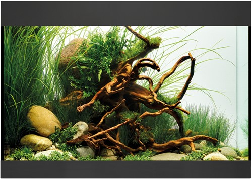 Oase StyleLine 125 aquarium zwart-2