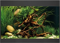 Oase StyleLine 125 aquarium zwart-3
