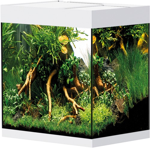 Oase StyleLine 85 aquarium wit