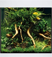 Oase StyleLine 85 aquarium wit-3