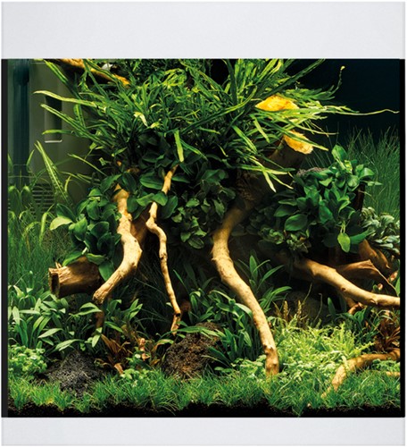 Oase StyleLine 85 aquarium wit-3