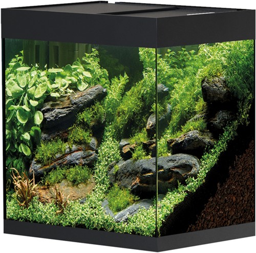 Oase StyleLine 85 aquarium zwart