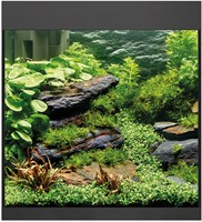 Oase StyleLine 85 aquarium zwart-3