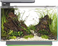 Superfish Quadro 70 Pro Multi Colour zwart