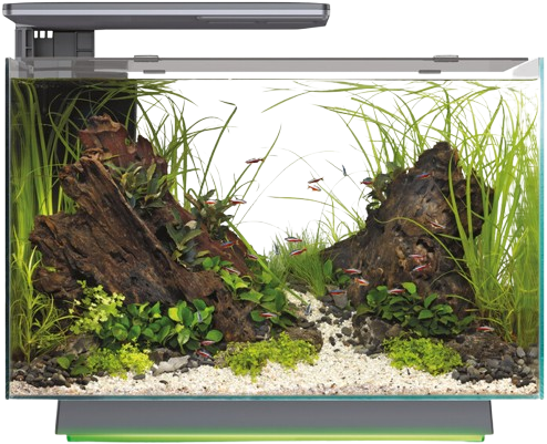 Superfish Quadro 70 Pro Multi Colour zwart