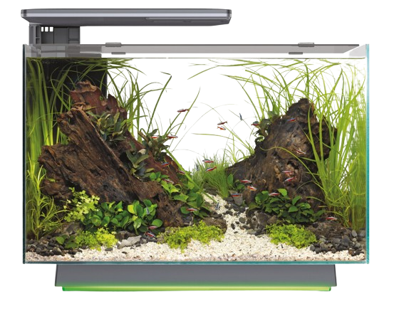 Superfish Quadro 70 Pro Multi Colour zwart